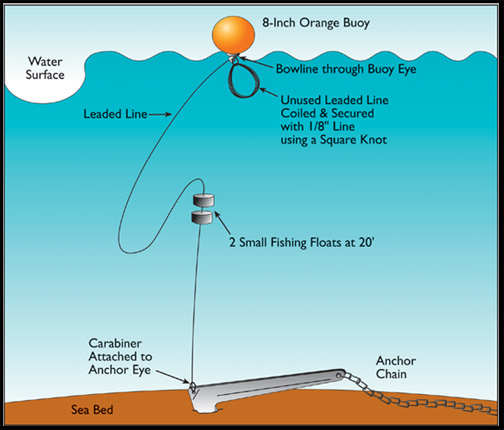 Anchoring Diagram